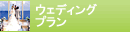 �E�F�f�B���O�v����