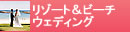 ���]�[�g���r�[�`�E�F�f�B���O