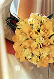 �t�����[�C���[�W�摜
