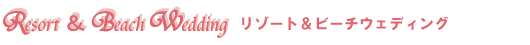 ���]�[�g���r�[�`�E�F�f�B���O